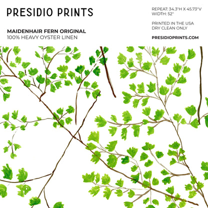 MaidenHair Fern