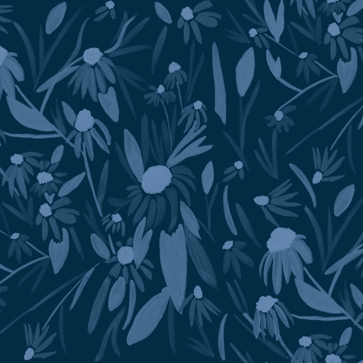 Echinacea