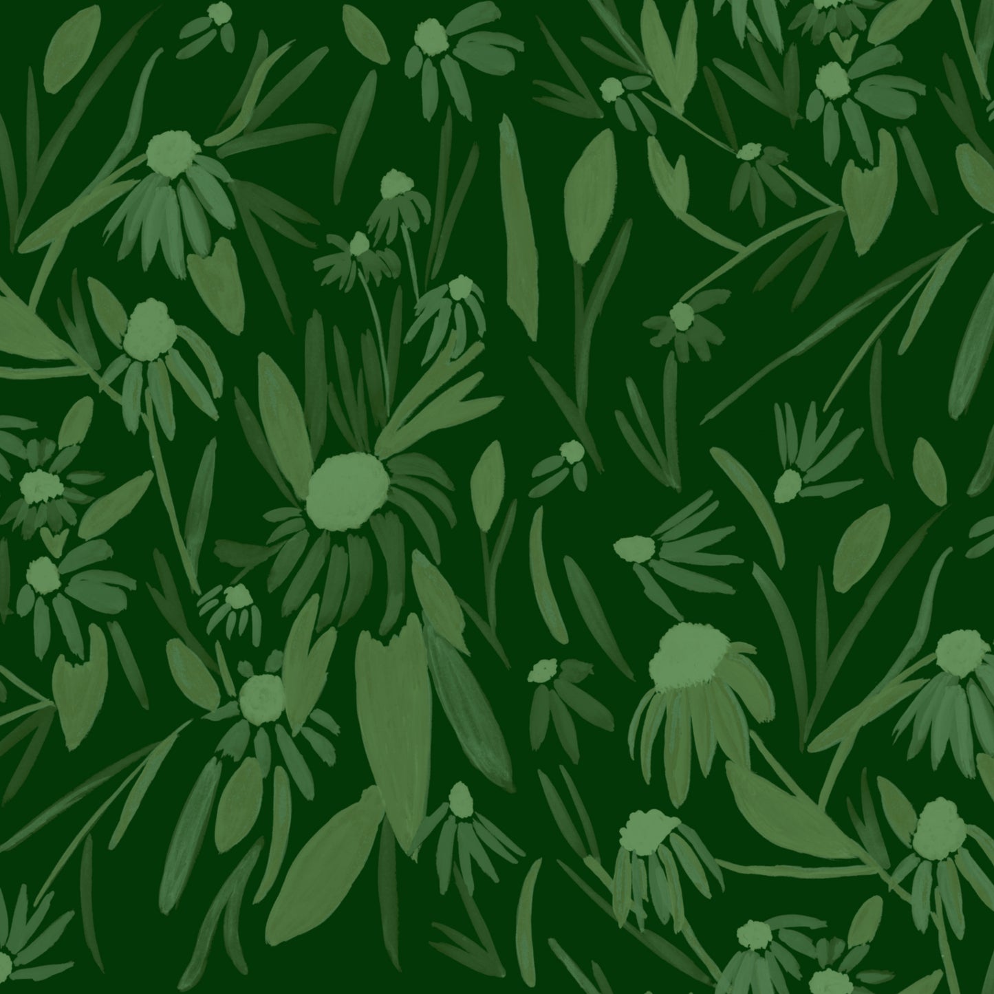 Echinacea