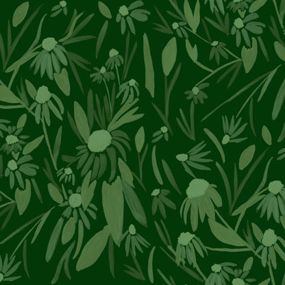 Echinacea